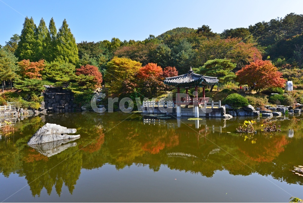 nature,자연,outdoors,옥외,architecture,건축물,water,물,plant,식물,tree,나무,현충원,국립현충원,국립,현충지,추색,가을,계절,만추,단풍,단풍잎,반영,정자,경치,경관,풍경
