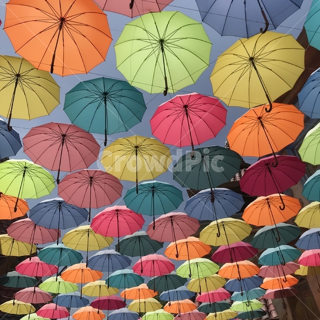 우산,풍경,디자인,색깔,장식