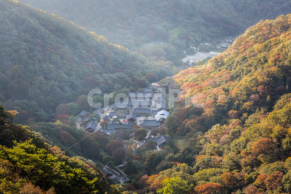 백양사,절,연못,단풍,단풍놀이,등산,하이킹,풍경,산,정상,절벽,가을,계절,fall,autumn,season,자연,풍경,nature,landscape,한국자연풍경,한국자연경관,korea nature landscape,outdoors,옥외,경치,scenery,aerial view,조감도