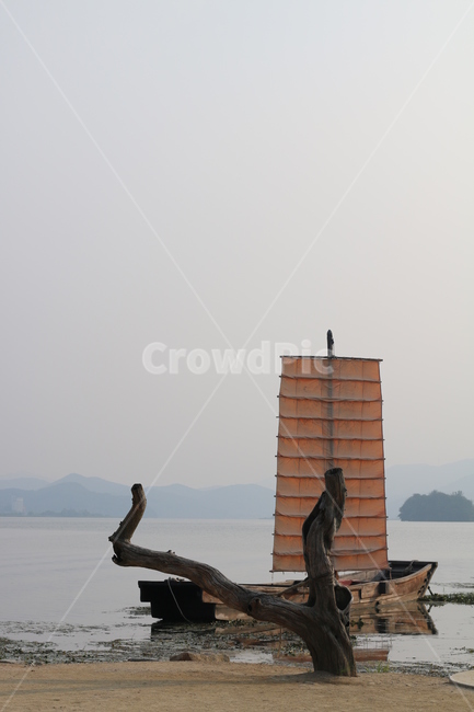 나룻배,나루터,배,양수리,두물머리,transportation,자연,야외,nature,나무,wood
