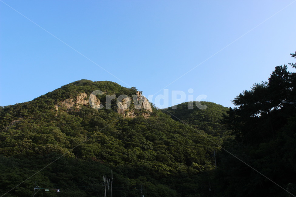 여름,시골,summer,자연,산,나무,하늘,sky,blue,tree,green,분위기