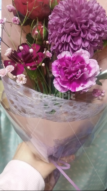 꽃,flower,blossom,부케,꽃부케,식물,꽃,flower