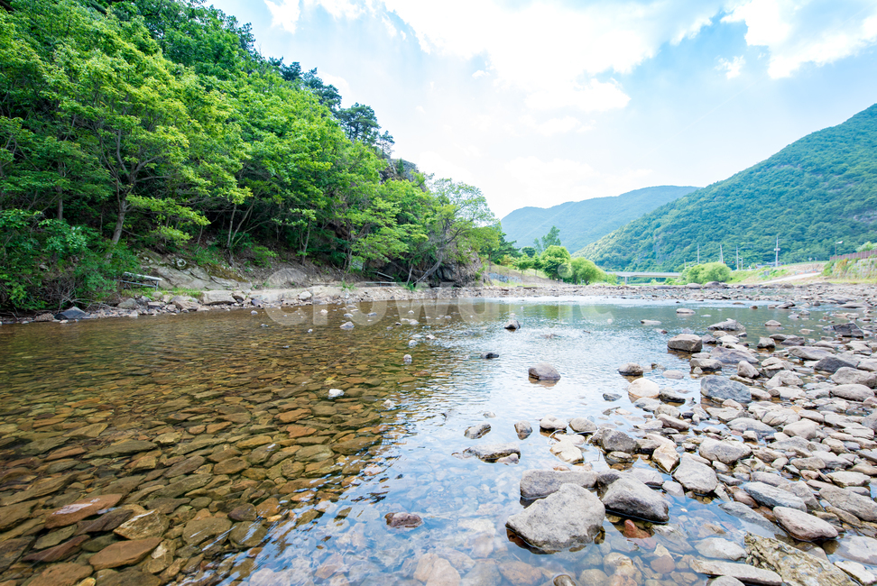 산,시골,자연,나무,강,물,하늘,깨끗한,여름