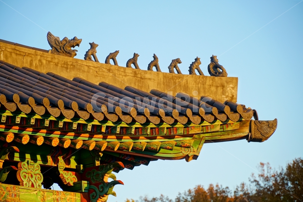 서울,종로구,조선시대,조선왕조,역사,문화재,유적지,한양도성,성곽,성벽,성문,한국,코리아,한국문화,한국전통,korea,seoul,가을,계절,tree,culture,tradion,한옥,전통,문화,하늘,season,건축,건물,토목,건설,풍경,landscape,nature,경치,지붕,처마,토우,홍화문,혜화문,castle,캐슬,성,히스토리,history,용마루,추녀마루,내림마루,잡상,와제,10신상,한국풍경,한국적인,단청,한국전통,한국문화,korean traditional,korean culture,건축물,건물외관,exterior,building,structure,architecture,construction