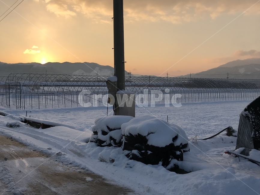 눈,하우스,일출,해,눈부심,겨울,계절,winter,season,시골,마을,풍경,landscape,country,rural,town