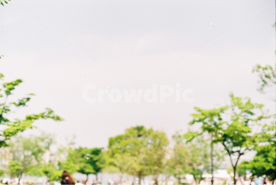 여의도,소풍,비눗방울,나무,필름,필름사진,picnic,blowbubbles,film,tree