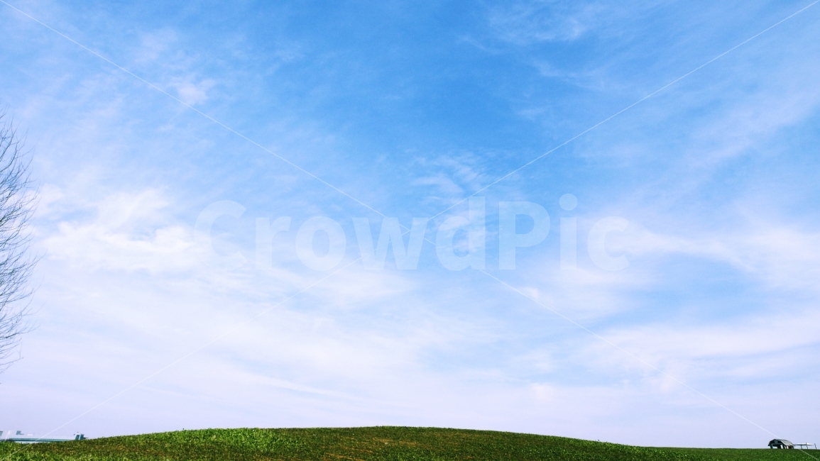 초원,하늘,안성,푸른하늘,경치,풍경,분위기,색감,시원한,자연,풍경,nature,landscape,outdoors,옥외,field,들,grassland,목초지