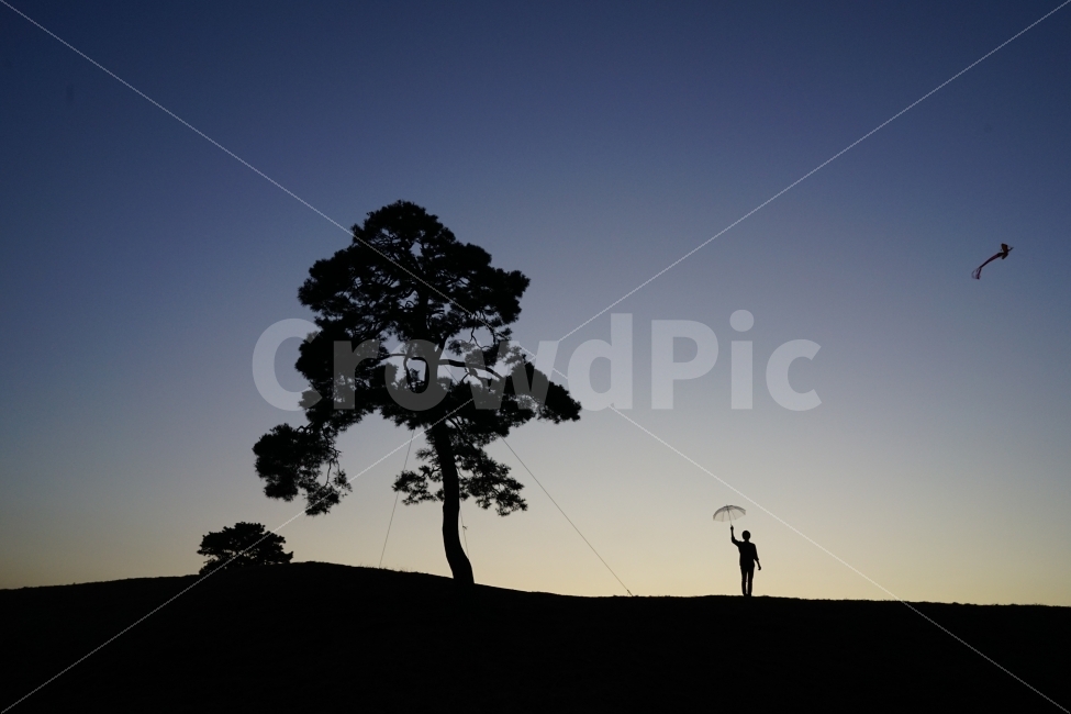 노을,실루엣,나무,사람,연,가을,하늘,자연,풍경,nature,landscape,식물,plants,나무,trees,wood,사람,인물,인간,human,person,실루엣,그림자,silhouette,shadow,인물실루엣,사람실루엣,character silhouette,human silhouette,plant,tree,animal,동물,bird,새