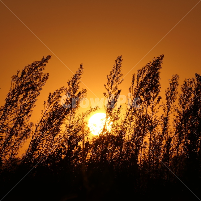 노을,sunset,해,햇빛,주황빛,sun,sunshine,하늘,sky,노을풍경,붉은하늘,일몰