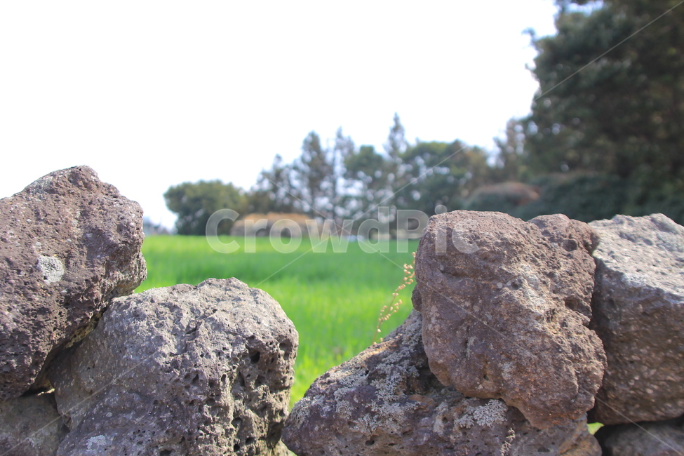 현무암,돌,들,단단함,클로즈업,돌담,자연,풍경,nature,landscape,rock,록,outdoors,옥외,grassland,목초지,field