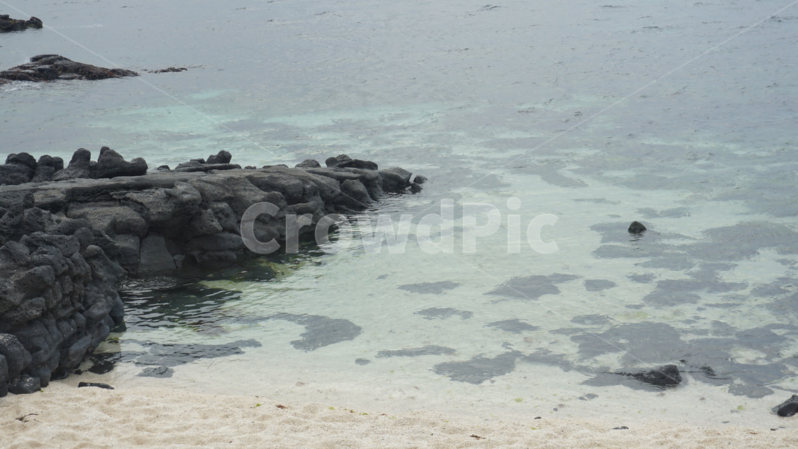 바닷가,바다,자연,풍경,제주도,해변,바다,beach,sea,제주도,jeju,jeju island,rock,록,water,물,shoreline,해안선,promontory,곶,nature,outdoors,옥외,ocean,대양