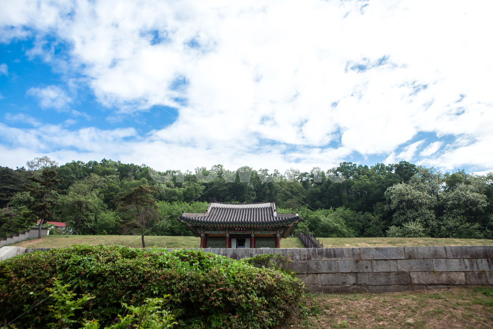 outdoors,옥외,문화,역사,문화재,유물,유산,한옥,건물,건축,고건축,고건물,강화,강화도,고려궁터,나무,고려궁지,지붕,기와지붕,배경,백그라운드,풍경,외규장각,병인양요,의궤,푸른하늘,구름,관광지,한국전통,한국문화,korean traditional,korean culture
