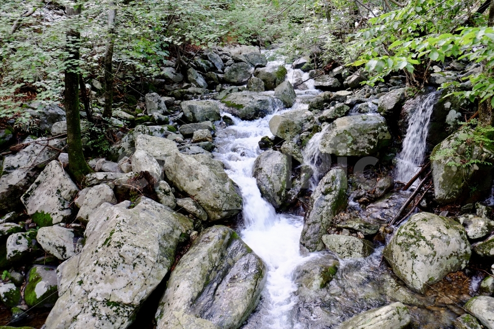 계곡,자연,산,환경,풍경,나무,여름,물,자연,풍경,nature,landscape,여름,계절,summer,season,water,outdoors,옥외,stream,흐름,creek,작은 만