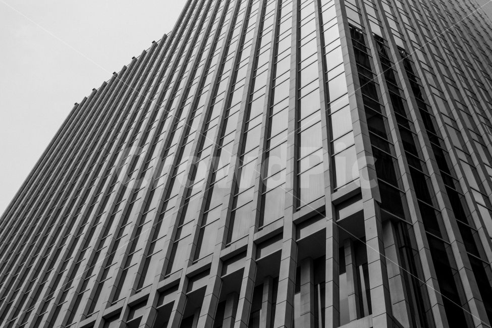 서울,건물,흑백,금융,비지니스,감성,유리,차가움,건축물,건물외관,exterior,building,structure,architecture,construction,비즈니스,사업,business,service,work,금융,돈,finance,banking,money,흑백,모노톤,monochrome,black and white