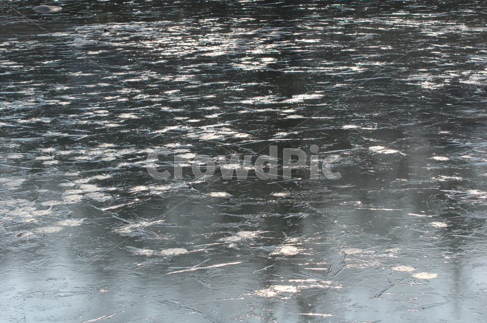 얼음,수면,겨울,냇가,살얼음,겨울,계절,winter,season