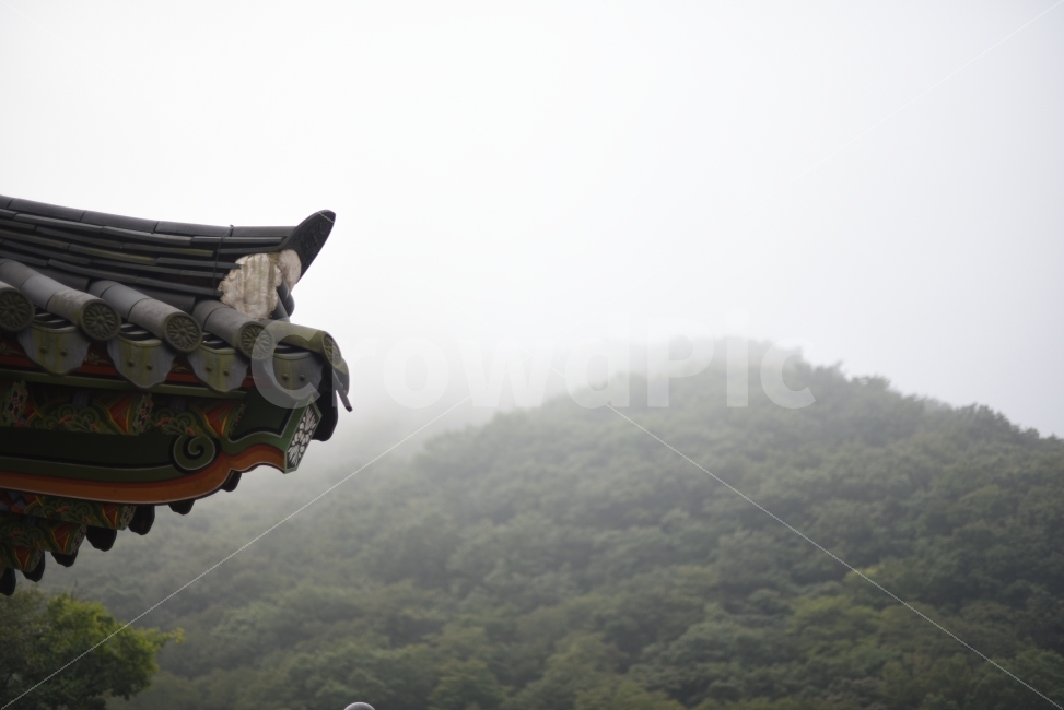영광,불갑사,새벽안개,구름,사진,처마,절,자연,풍경,nature,landscape,한국전통,한국문화,korean traditional,korean culture