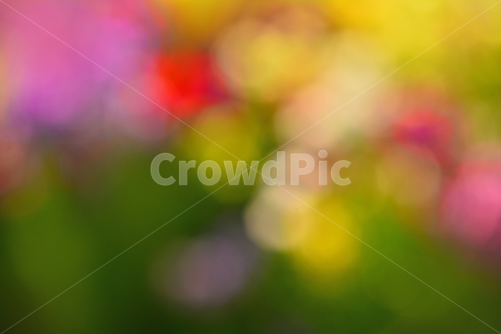 봄,색감,감성,분위기,느낌,벡그라운드,emotion,feeling,sensible,칼라풀,색상,화려한,colorful,season,시즌,계절,보케,빛망울,몽환적,그라데이션,gradation,art,번짐,혼색,다양한,노랑,빨강,핑크,분홍,그린,녹색,봄배경,background,바탕,배경