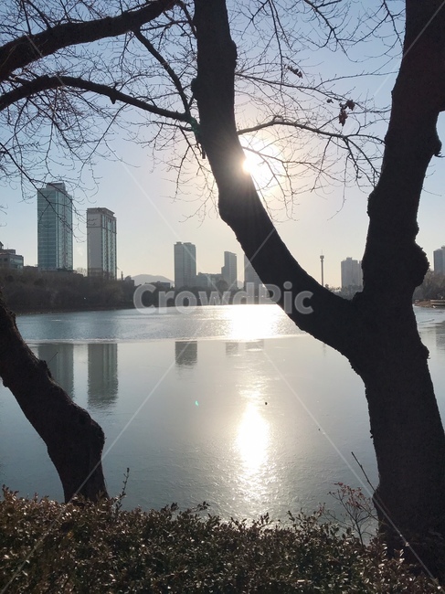 겨울호수,석촌호수,겨울석촌호수,일몰,겨울나무