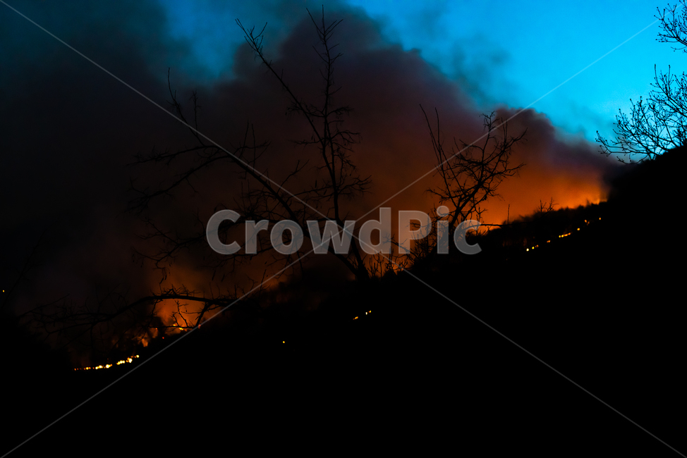 fire,forestfire,catastrophe,disaster,accident,destruction,damage,evacuation,victims,safety,emergency,devastated,fireresidue,firecontrol,산불,불,재난,재해,사고,파괴,피해,대피,이재민,안전,비상상태,황폐화,잔불,소화