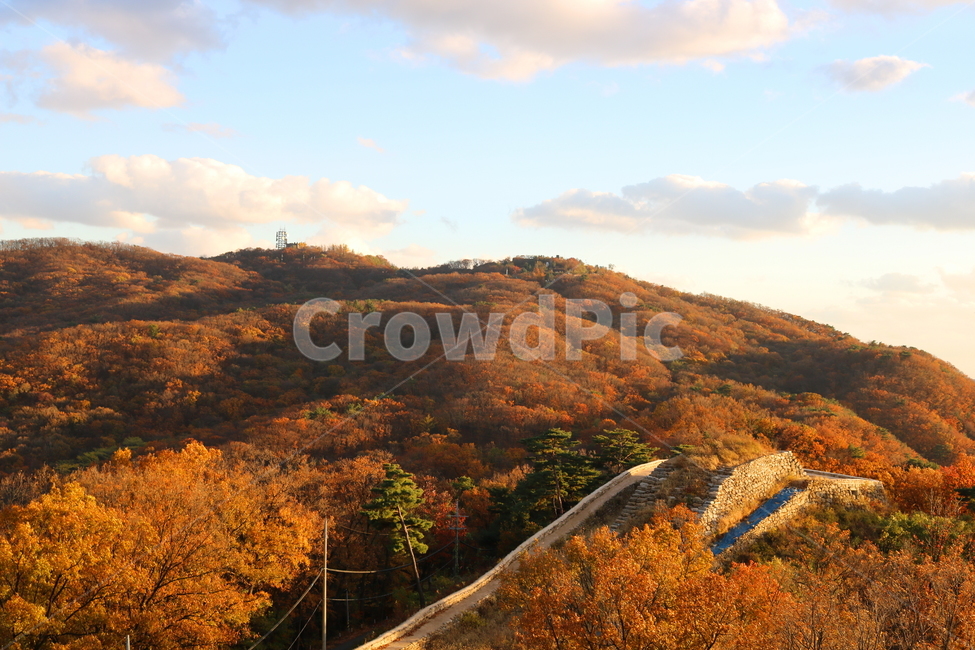 남한산성,산성,성벽,자연,풍경,가을,단풍,나무,공원,가을,계절,fall,autumn,season,nature,outdoors,옥외
