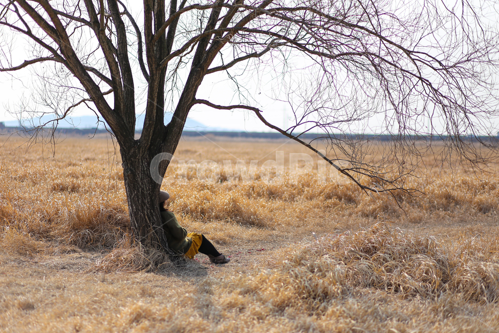 만삭사진,가을,기다림,아기,출산,쓸쓸함,선물,임신,따뜻함,가을,계절,fall,autumn,season,사람,인물,인간,human,person,여성,여자,woman,female,lady,휴식,힐링,rest,relaxation,healing,grassland,목초지,nature,자연,savanna,대초원,outdoors,옥외,field,들