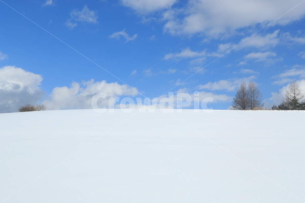 snow scene,snow,winter wonderland,winter fairy tale,snowflake world