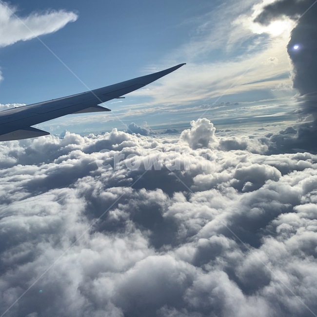 여행,구름,비행기,하늘색,해,여행중,비행중,여행,휴가,traveling,vacation,trip