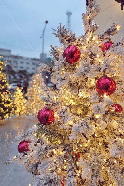 christmastree,크리스마스트리,ornament,tree,christmas,메리크리스마스,성탄절,merry christmas