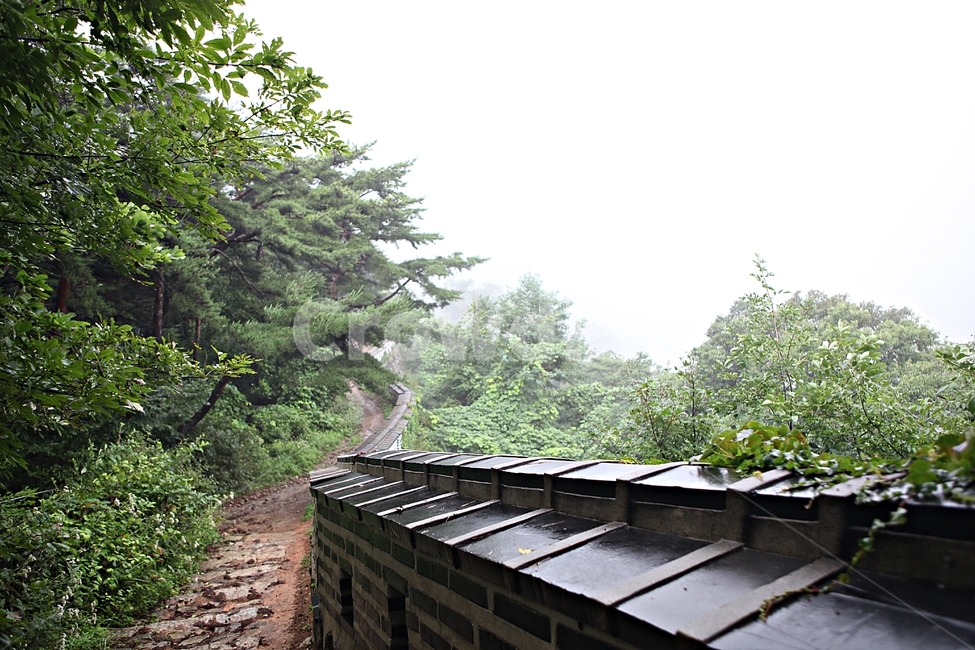 남한산성,성,성곽,길,둘레길,숲,숲길,안개,돌담,담,벽,여름,풍경