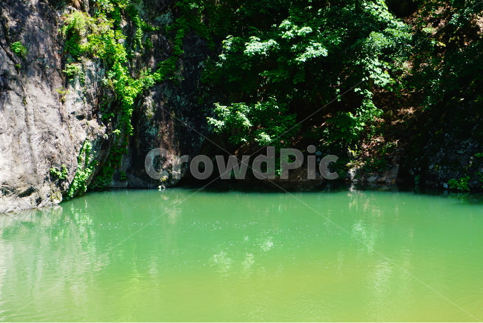 청정계곡,청정옥수,비췻빛물색,계곡,초록빛물색,자연,풍경,nature,landscape,green,초록,water,물,outdoors,옥외