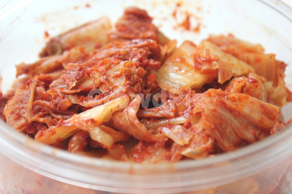 dish,요리,food,음식,한국전통음식,김치,배추김치,음식,식재료,요리,food,cook,meal,dishes,food reserves