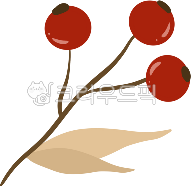 tree branch,maple tree,autumn tree,autumn,maple,autumn fruit,maple leaf,fall,fruit,red fruit,red fruit