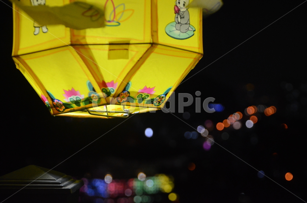 연등,밤,연등축제,부처님오신날,절,temple,lentern,night,종교,신앙,religion,belief,faith,축제,행사,festival,carnival,event