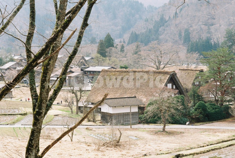 마을,japan,시라카와고,shirakawago,시골마을,소도시,마을풍경,가정집