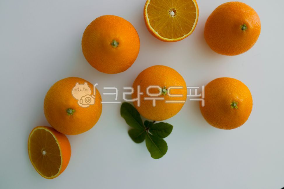 citrusfruit, 감귤류과일, 과일, fruit, orange, 사진,이미지,일러스트,캘리그라피 - gotolondon작가