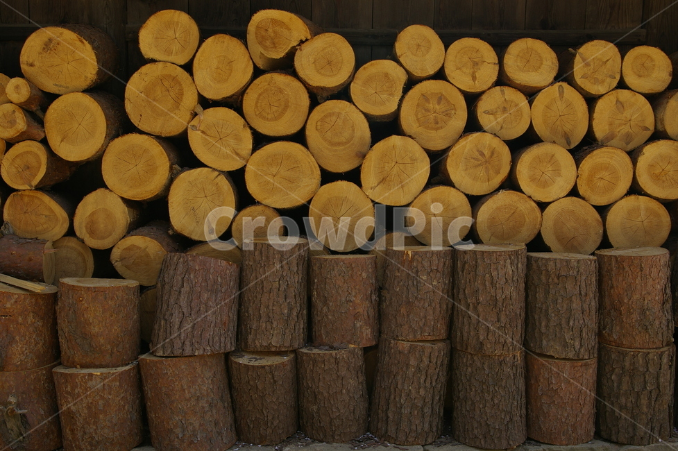 나무,통나무,땔감,규칙적,자연,나무,trees,wood