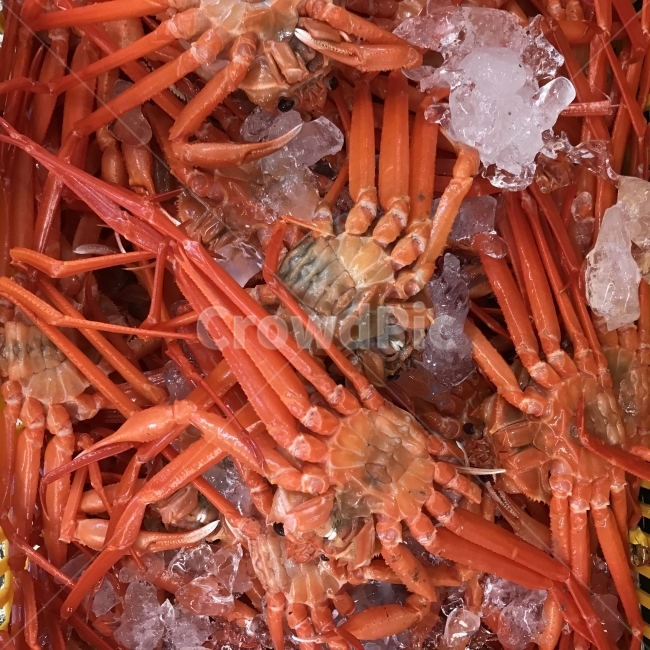 게,꽃게,해산물,수산시장,대게,해물,음식,식재료,요리,food,cook,meal,dishes,food reserves,수산물,해산물,fishery products,seafood