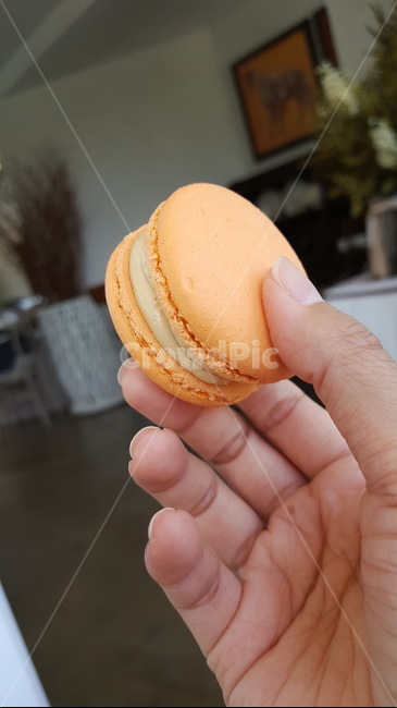 마카롱,손,마카롱이미지,음식,macaron