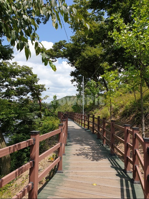 군산,월명산,산책로,구름,자연,감성