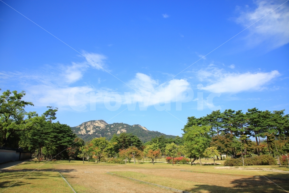 가을,파란하늘,구름,경복궁,인왕산,풍경,서울,자연,자연,풍경,nature,landscape,한국자연풍경,한국자연경관,korea nature landscape,plant,식물,grass,잔디,field,들,outdoors,옥외