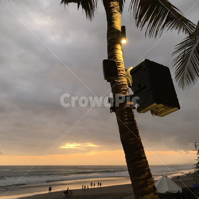 해질녘,노을,선셋,라디오,바다,해변,beach,bali,발리,인도네시아,tree,나무,plant,식물,arecaceae,palmtree,야자수,조명,sunset
