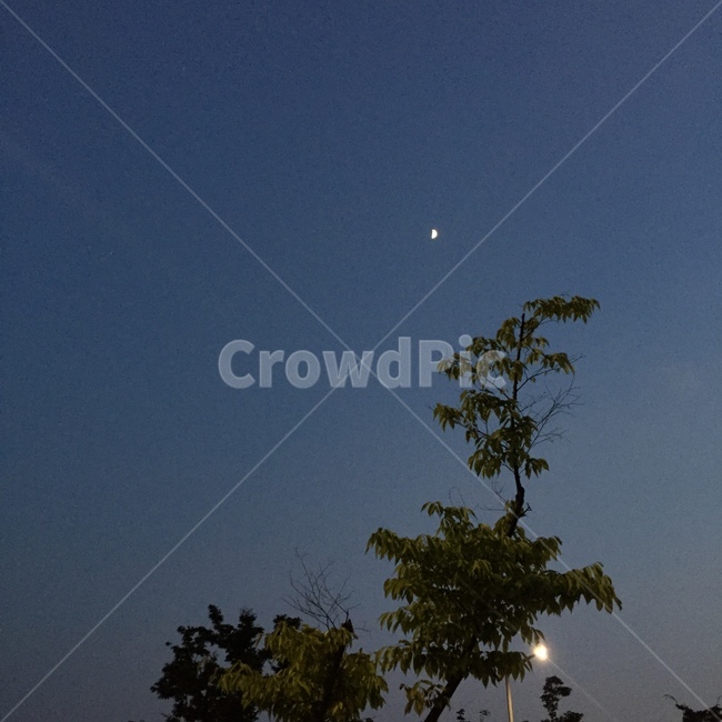 nature,자연,달,moon,밤,night