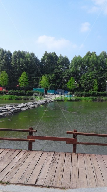 담양,메타세콰이어길,돌다리,강,산책,힐링