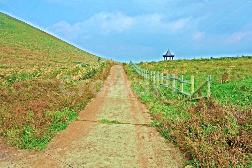 제주도,새별오름,가을,억새,산책로,정자,길,도로,흰,구름,하늘,오름,풀,잎,풀잎,제주,제주여행,여행,자연,풍경,경치,산책,푸른,걷기,자연,풍경,nature,landscape,한국자연풍경,한국자연경관,korea nature landscape,제주도,jeju,jeju island,outdoors,옥외,road