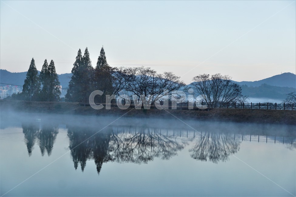 가을,아침,안개,자연,하늘,tree,sky,nature,나무,plant,풍경,autumn,morning,water,물,저수지,reservoir