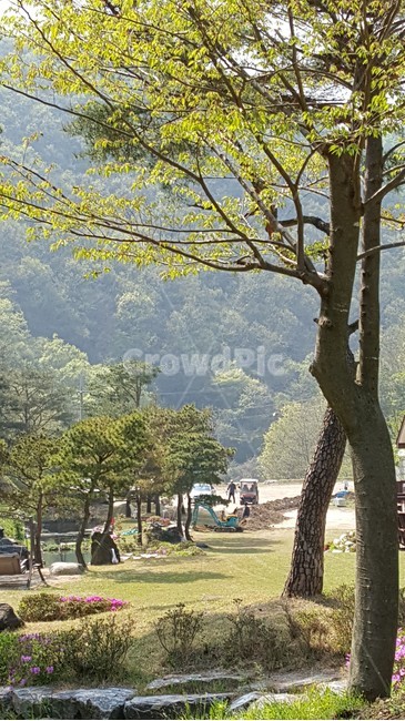 tree,골프장,멋진풍경,좋은날씨,식물
