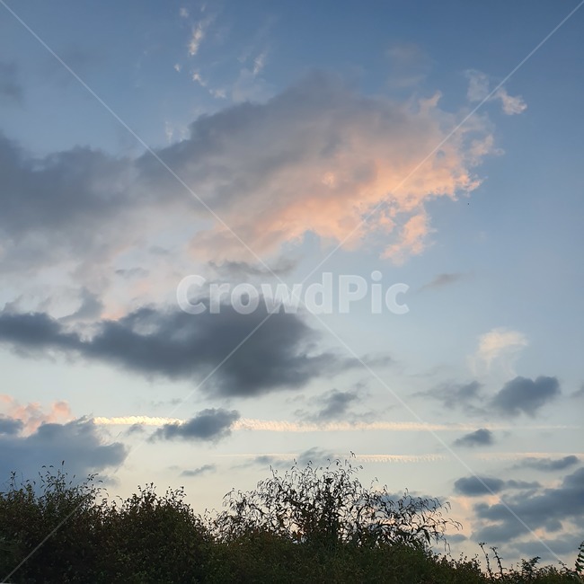 weather,날씨,nature,자연,cloud,구름,sky,하늘,나무,꽃,저녁,저녁하늘,저녁노을,자연,풍경,nature,landscape,cumulus,적운,outdoors,옥외