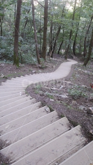 rock,fall,road,Sincerely,tree,start,wooden stairs,end,mountain path,downhill,hiking trail