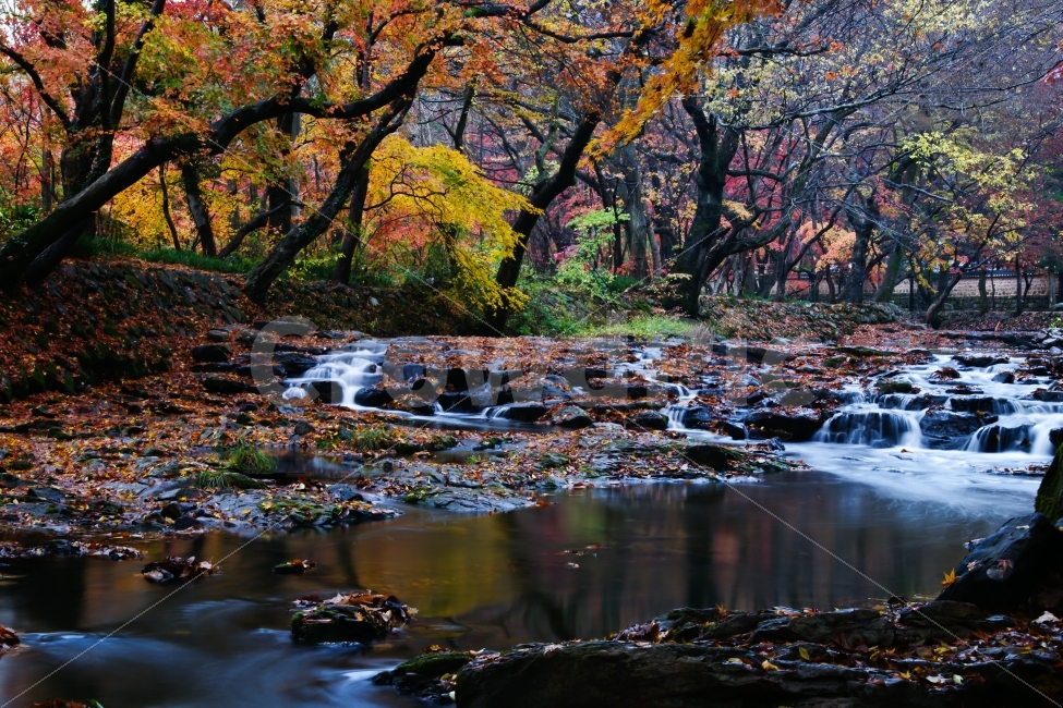 도솔천,가을,단풍,계곡,산사,낙엽,만추,자연,풍경,nature,landscape,한국자연풍경,한국자연경관,korea nature landscape,water,물,outdoors,옥외,stream,흐름,creek,작은 만