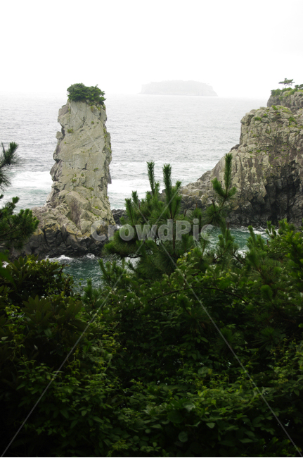 제주,바다,외돌개,바위,풍경,자연,풍경,nature,landscape,한국자연풍경,한국자연경관,korea nature landscape,제주도,jeju,jeju island,outdoors,옥외,cliff,낭떠러지,promontory,곶